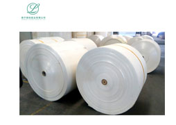 PE coated paper material