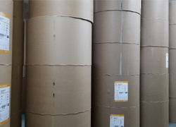 PE coated paper
